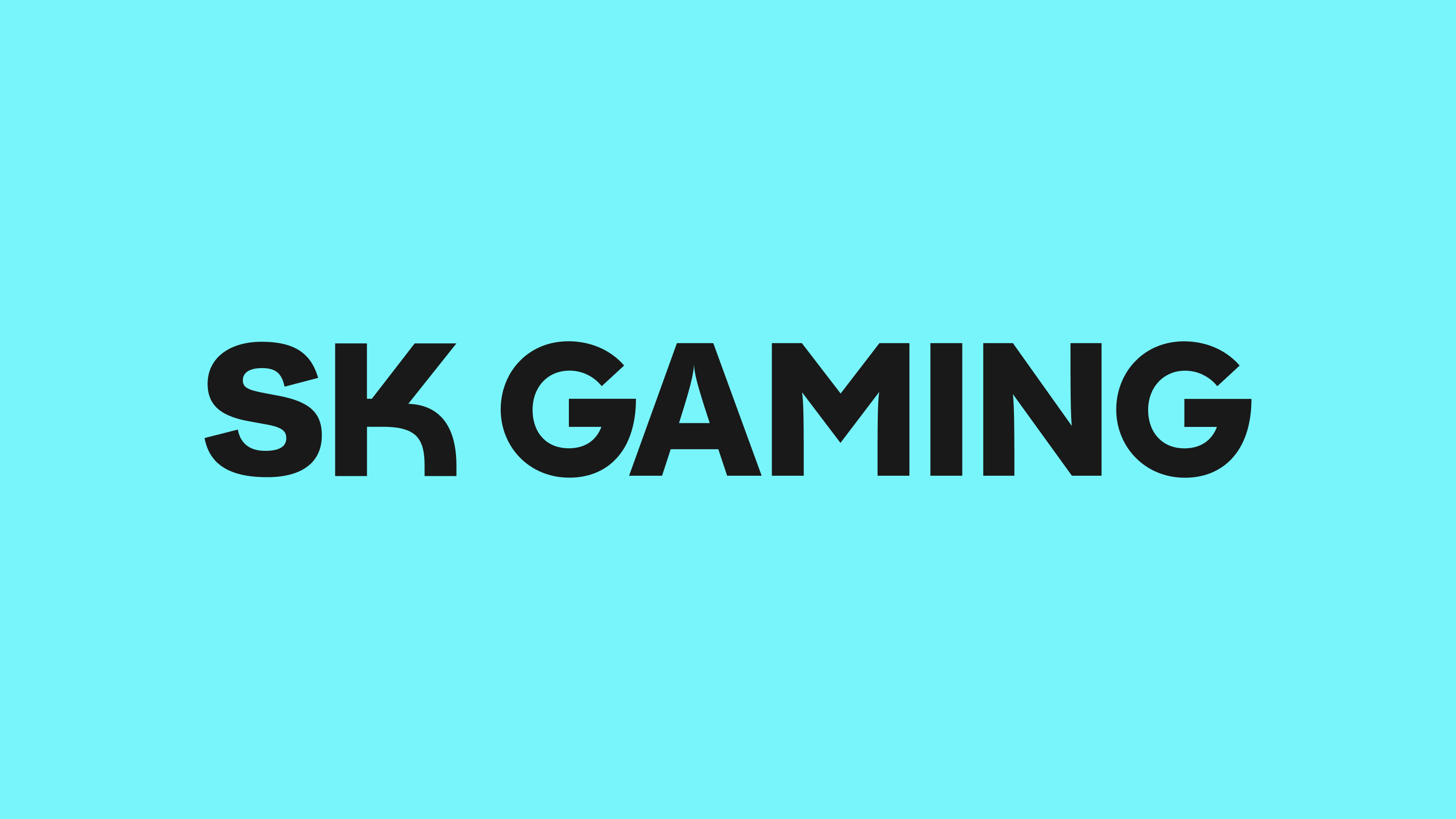 SK-Gaming-Wordmark-2
